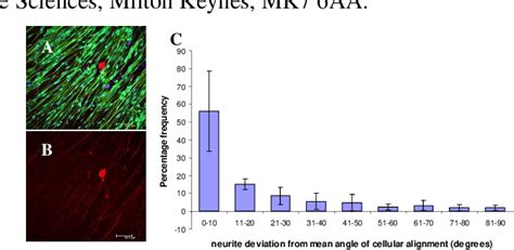 Figure 1 From Aligned Cellular And Acellular Collagen Guidance