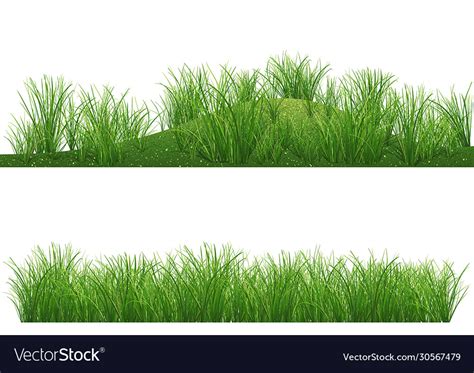 Grass background Royalty Free Vector Image - VectorStock