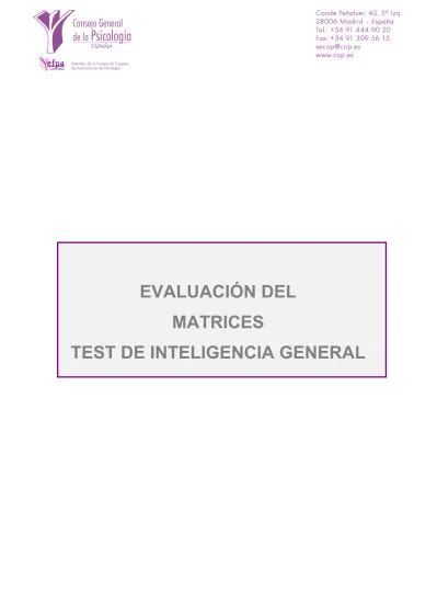 Evaluaci N Del Matrices Test De Inteligencia General