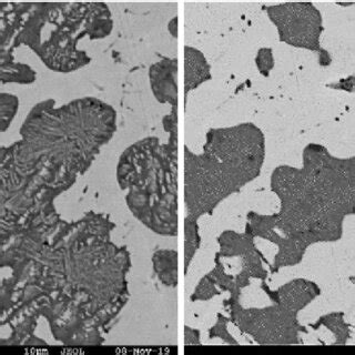 Sem Bse Images Of Ti Cu A As Cast And B Annealed At C