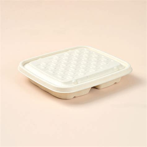 Zhongxin Takeaway Disposable Sugarcane Bagasse Food Container With Lid