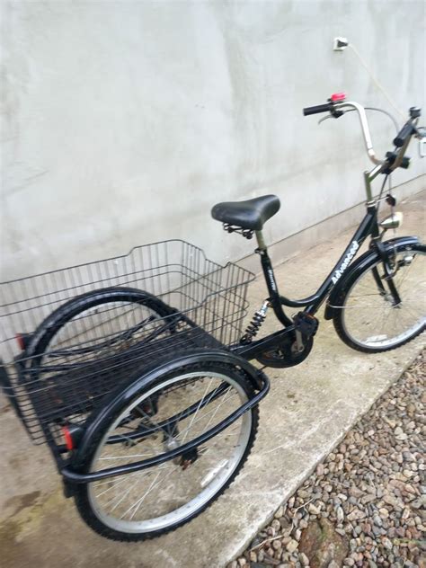 Tricicleta Bicicleta Cu 3 Roti Alesd OLX Ro