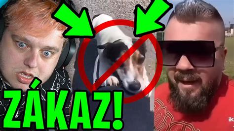 TIKTOKEŘI BY NEMĚLI MÍT PEJSKY Morry REAGUJE na Sibiran YouTube