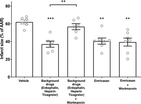 The Pi Kinase Inhibitor Wortmannin Blocks Protection By Background