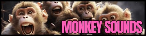 MONKEY SOUNDS