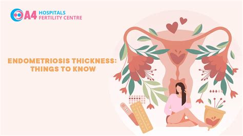 Endometrial Thickness What You Need To Know | A4 Fertility