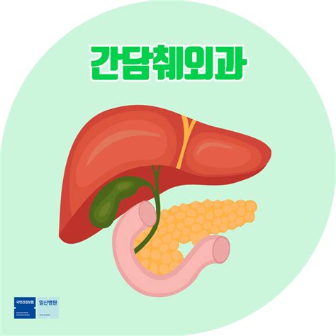 어디로 가죠 간·담도·췌장 건강을 책임진다간담췌외과 네이버 포스트