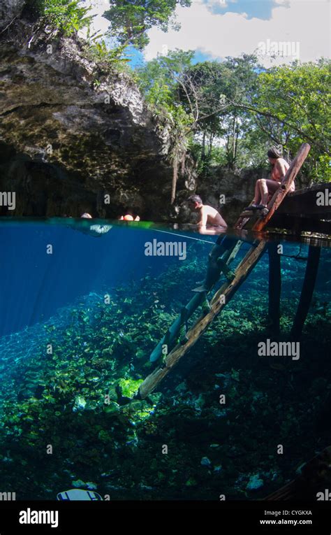 Cenote Dos Ojos, Tulum (Playa del Carmen), Yucatan, Mexico Stock Photo - Alamy