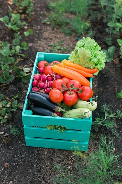 Premium Photo | Wooden box filled fresh vegetables in garden harvesting ...