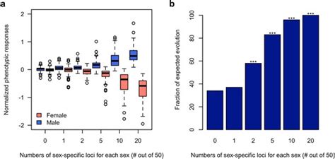 Rapid Sex Specific Adaptation To High Temperature In Drosophila Elife