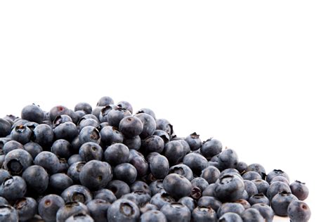 Fresh Blueberries Free Stock Photo Public Domain Pictures