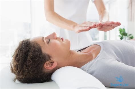 Curso Terapia Energ Tica Aplica O De Energia Vital