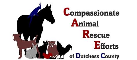 2019010795 Compassionate Animal Rescue Efforts Of Dutchess County