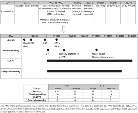 Frontiers Sex Dependent Effects Of An Early Life Treatment In Rats