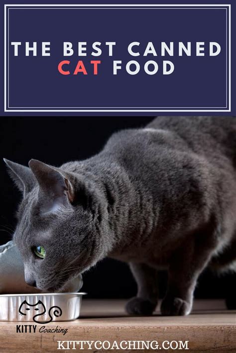 The 9 Best Wet Cat Foods Reviewed (2018)