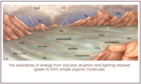 Origin Of Life Biology Isc