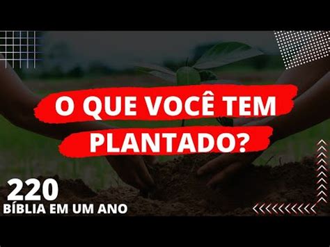 Voc Colhe Aquilo Que Voc Planta B Blia Em Ano Youtube