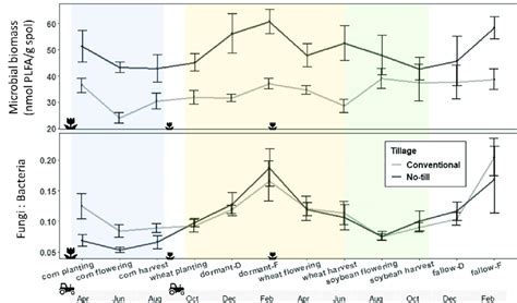 Temporal Changes In Microbial Biomass And The Ratio Of Fungi To