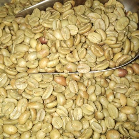 Jual Green Bean Arabica Natural Hingland Gunung Sindoro Temanggung