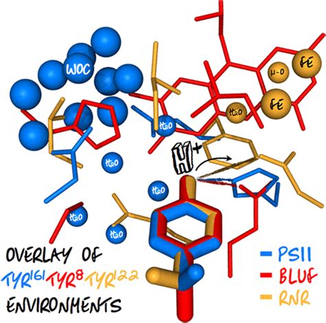 Proton Coupled Electron Transfer – Therien Lab