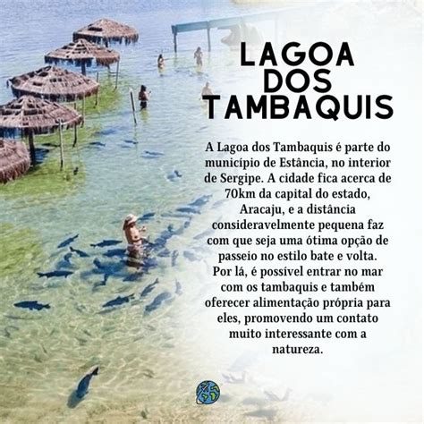 Lagoa Dos Tambaquis Saiba Como Chegar E Mais