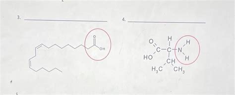 Solved Functional Group Identification Worksheet Name The