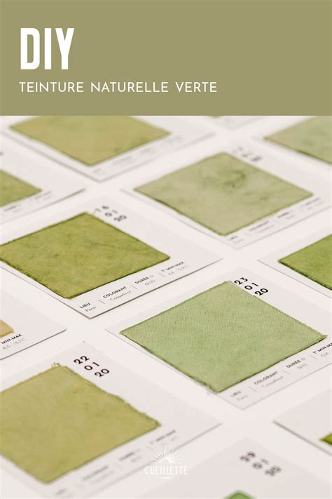 Tuto Teinture V G Tale Verte Au Micocoulier Teinture Naturelle