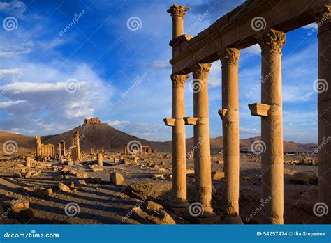 Syria Palmyra Stock Photo Image Of Fossil Locations 54257474