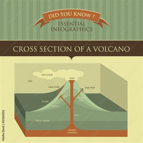 Vector Infographic - Cross Section of Volcano Stock Vector | Adobe Stock