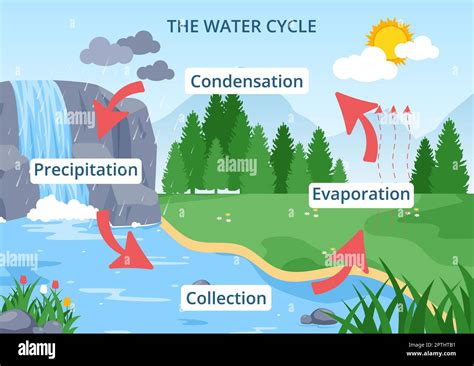 Agua Ciclo De Evaporación Condensación Precipitación Para La