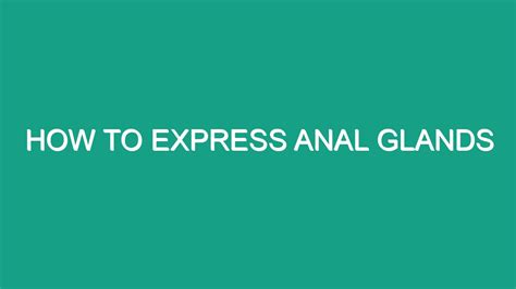 How To Express Anal Glands Android62