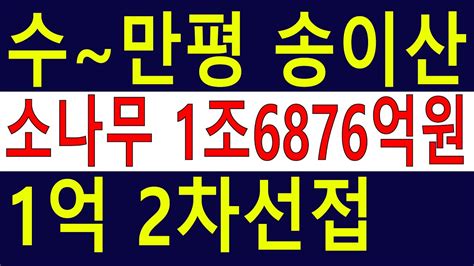 송이산 경사완만 수~만평 계획관리포함 2차선접 숲가치2조3870억원 탄소거래권연금액4500만원 숲야영장탠트고기집707억연매출