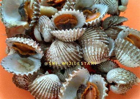 Resep Kerang Dara Rebus Oleh Sri Wiji Lestari Cookpad