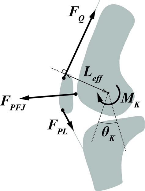 May The Force Be With You Understanding How Patellofemoral Joint Reaction Force Compares Across