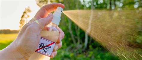 Make A Mosquito Repellent At Home With These Ingredients