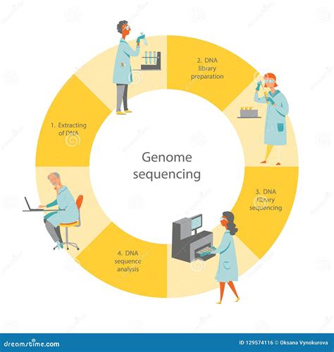 Genome Sequencing Vector Concept DNA Test Steps CartoonDealer