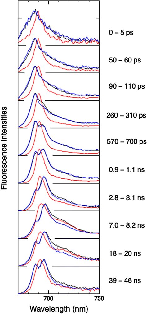 Time Resolved Fluorescence Spectra At 77 K Of The Chaetoceros Gracilis Download Scientific