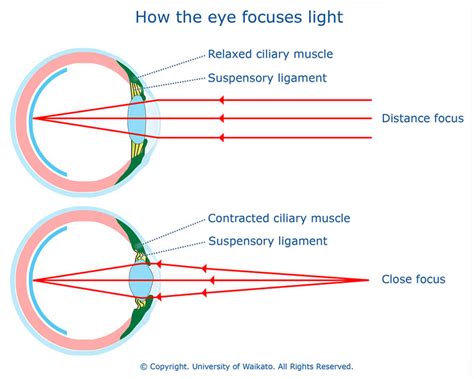 Presbyopia Q&A - Advanced Family Eye Care