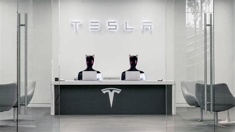 Elon Musk Is Still Determined to Build Catgirl Robots