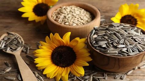 10 Health Benefits Of Eating Sunflower Seeds You Should Know