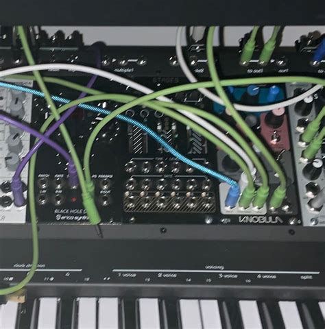 Mutable Instruments Momo Modular Stages 2020 Black Reverb