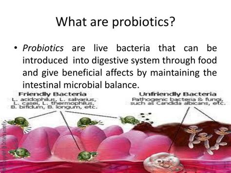 Ppt Sumul Pro Fit Probiotic Dahi Powerpoint Presentation Id1882355