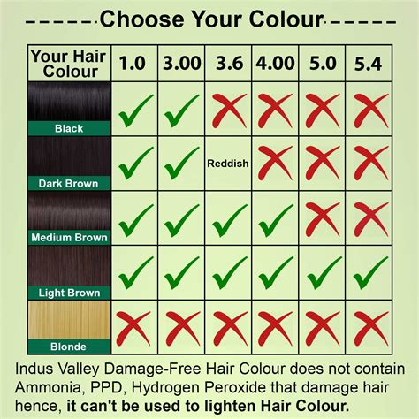 non ammonia hair colour 2