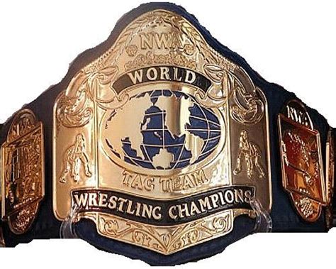 18 Best Nwa Wcw World Heavyweight Tag Team Championship Belts Images On Pinterest Belt Belts