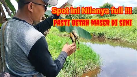 MasterPaserMalinau Kalau Mau Ikan Nila Datang Maser Di Spot Ini Saja