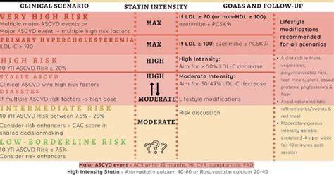 Ascvd Risk Statin Yasmineikenna