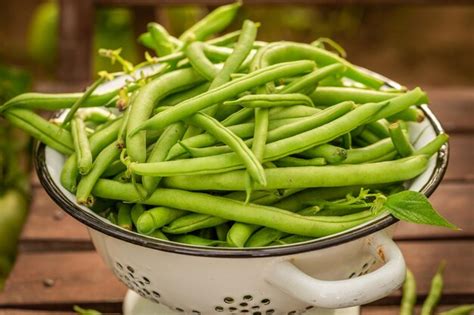 Premium Photo Fresh And Tasty Green Beans In Small Greenhouse