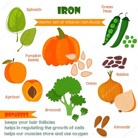 Vitamins and Minerals foods Illustrator set 4.Vector set of vita Stock ...