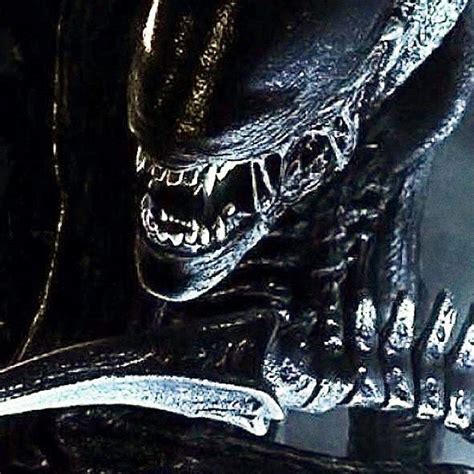 Xenomorfos Wiki Alien Vs Predator Universo Amino