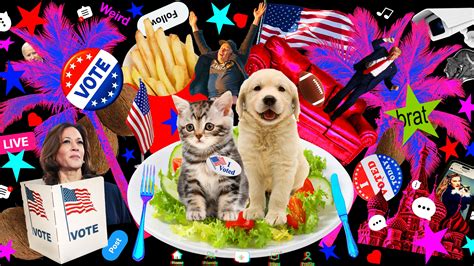 Welcome to the 2024 US Election | WIRED